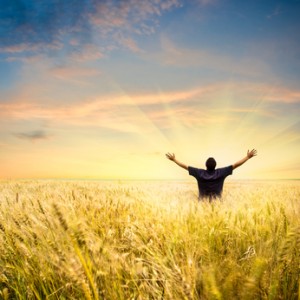 Man in wheat field